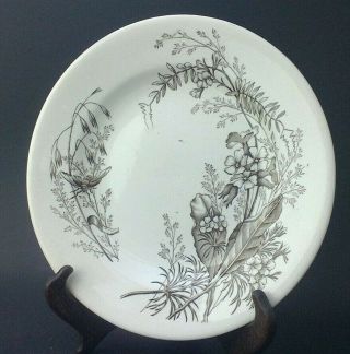 Antique Aesthetic Transferware Plate 1880 Flowers Bee Victoria Ironstone