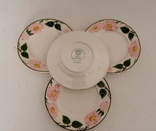 4x Villeroy and Boch Wild Rose Hand Painted Side Plates 16.  3 cm 4