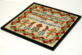 ANTIQUE SCOTTISH EMBROIDERY SAMPLER ALICE DOUGLAS AGED 13 (ONE OF SISTERS PAIR) 6