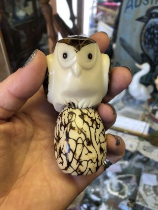 Tagua Nut Hand Carved Owl With Certificate Perfect