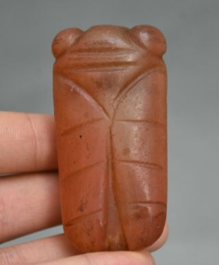 2.  6 " Old China Hongshan Culture Red Crystal Cicada Birds Pendant Amulet