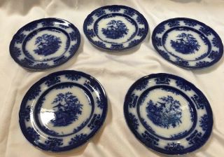 5 Antique Davenport Flow Blue Amoy Pattern Staffordshire Dinner Plate C1846