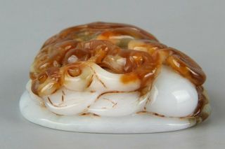 Chinese Exquisite Hand - carved Phoenix Carving jadeite jade Pendant 6