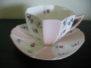 Shelley Pink Charm Queen Ann Tea Cup And Saucer