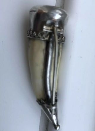 Antique Tiger Tooth Silver Brooch 4