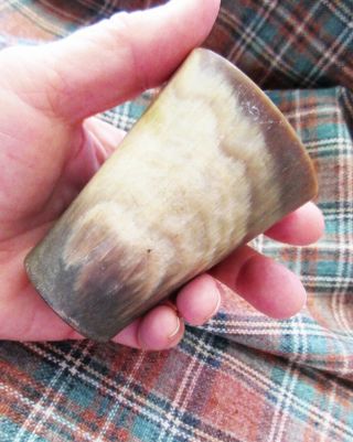 Scottish Victorian Cow Horn Cup Whiskey Dram Shot Glass 3 " Tan And Cream (10)