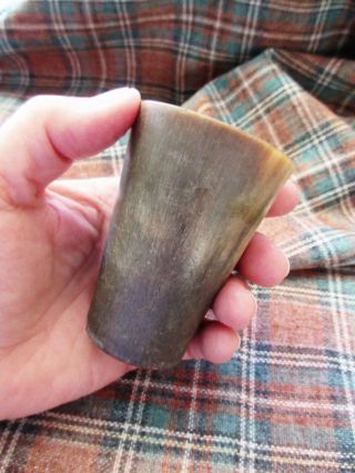 Scottish Victorian Cow Horn Cup Whiskey Dram Shot Glass 3 