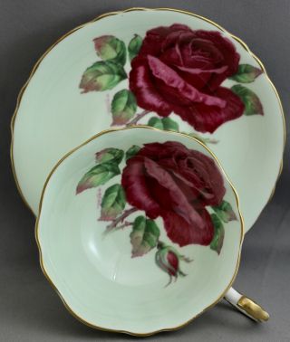 Paragon Teacup & Saucer - Green/large Red Roses/signed M438