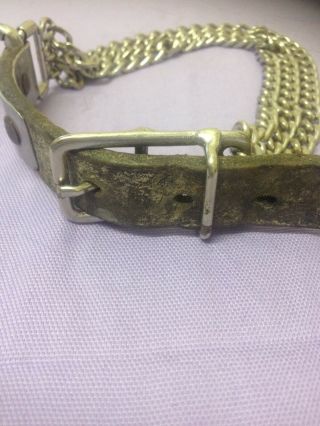 Antique Dog Collar Three Strand Chain Leather No Inscription