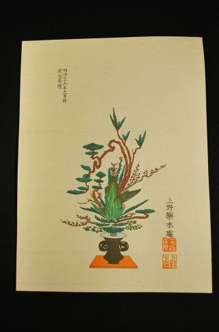 Meiji Era (nov,  1903) Japanese Woodblock Ikebana Print 2