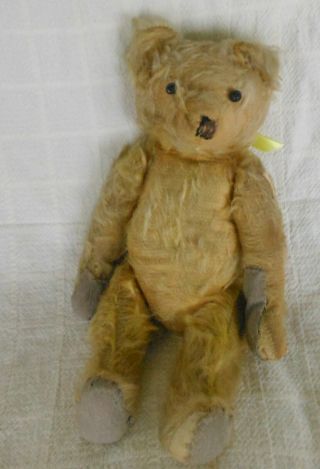 Antique Yellow Mohair Jointed Teddy Bear With Button Eyes