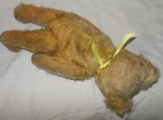 Antique Yellow Mohair Jointed Teddy Bear With Button Eyes 3