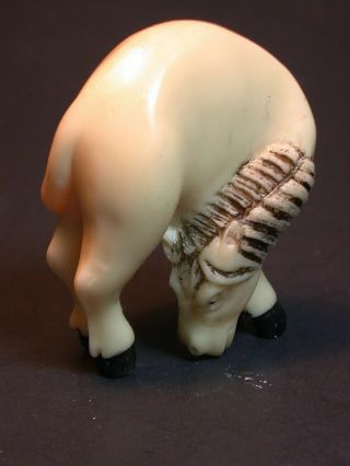 Japanese ivory color bone netsuke - Horse Grazing 2