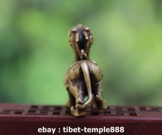 5.  5 CM China 100 Pure Bronze Foo Dog Lion Dragon Wealth Animal Amulet Sculpture 5