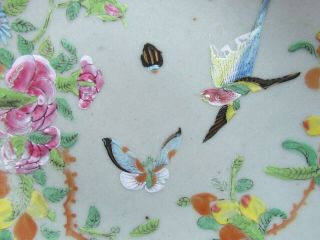 Chinese Famille Vert 7⅜ " Plate Bird & Butterfly (ref4870)