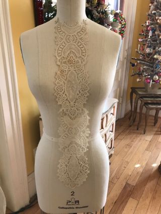 French Embroidered Needle Lace Antique Long Collar Dress Panel Ornate Floral