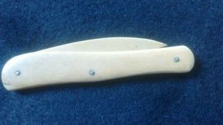 L@@K.  UNUSUAL ANTIQUE FRUIT KNIFE CARVED BONE WITH PICTURE OF A SWAN ON. 4