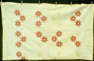 Antique Vintage 1800s Civil War Era Prairie Starflower Folk - Art Quilt