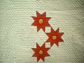 ANTIQUE VINTAGE 1800S CIVIL WAR ERA PRAIRIE STARFLOWER FOLK - ART QUILT 6