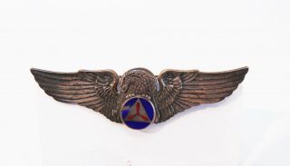 WWII CAP Pilot Named Group Liaison Patrol Mexican Border Civil Air Patrol,  Wings 8