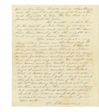 1863 Civil War Letter by Pvt.  Jackson Cornelius,  52nd Pennsylvania - Hilton Head 2