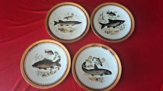 4 Antique French Fish Oyster Plate 1940 Chastagner Porcelain Limoge