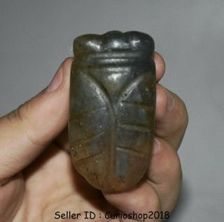 2.  2 " Rare Old China Hongshan Culture Crystal Carved Cicada Animal Amulet Pendant