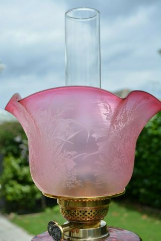 Victorian Cranberry Oil Lamp Shade No Cracks 4 " 1/4 Fitter