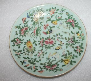 An C19th 8.  9 " Chinese Celadon Plate - Enamel Floral Birds Butterfly