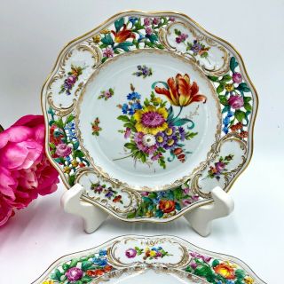 Carl Thieme Dresden Hand Painted Display Plates (2) Hand Painted 10 3/4 In