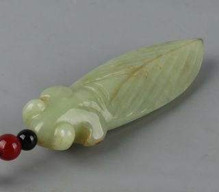 Chinese Exquisite Hand - Carved Cicada Carving Hetian Jade Pendant