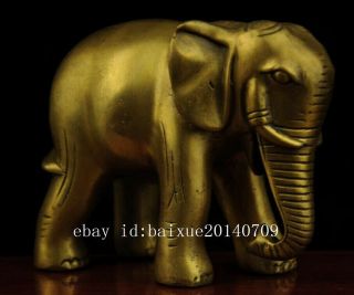 China antique old hand made brass Elephant statue c01 2