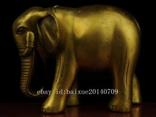 China antique old hand made brass Elephant statue c01 3
