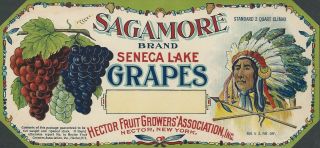 Rare Old 1915 Litho " Sagamore Brand " Grapes Box Label Hector York