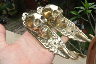 2 Medium Polished Skull Hooks Brass Old Vintage Style Antique 6.  1/2 " Long B