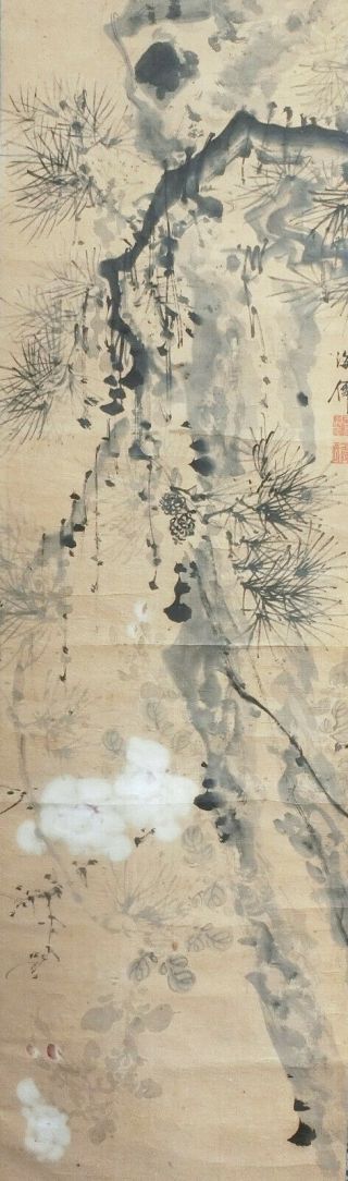 I644: Japanese Old Hanging Scroll.  Pine Tree With Flower By Famous Kaisen Oda.