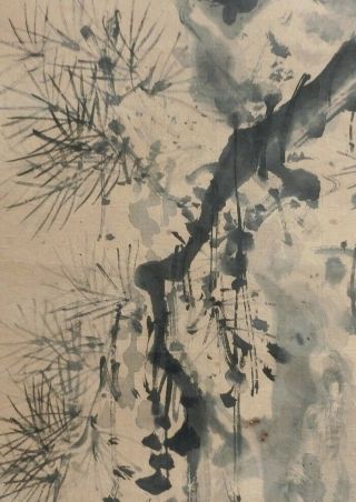 I644: Japanese old hanging scroll.  Pine tree with flower by Famous Kaisen Oda. 4