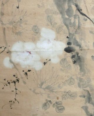 I644: Japanese old hanging scroll.  Pine tree with flower by Famous Kaisen Oda. 6