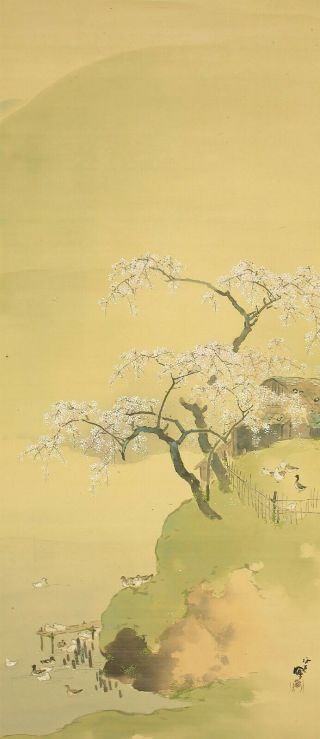 掛軸1967 Hanging Scroll : Takeuchi Seiho " Cherry Tree And Waterfowls " @e202