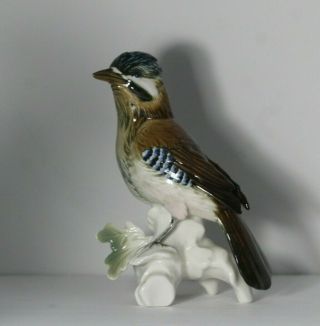 Antique Early 20thc Karl Ens Volkstedt German Jay Bird 7098 Porcelain Figurine