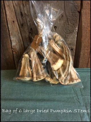 6 Large Dried Pumpkin Stems In Cello & Tag Halloween Primitive Craft Projects