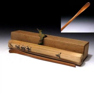 Cd5: Japanese Wooden Teaspoon,  Chashaku With Signed Wooden Box,  Tea Ceremony