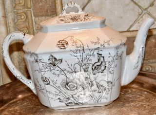 Antique Victorian Poppy Transferware Tea Pot Moore Leason Duchess M.  L.  & Co.