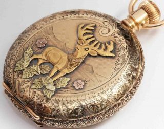 1898 Waltham 14k Gold Hunting Case Ornate Antique Multi - Color Pocket Watch,  Buck