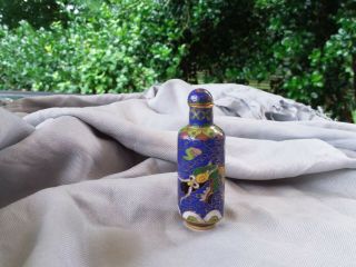 Vtg Chinese Cobalt Blue Enamel Cloisonné 5 Toe Dragon Miniature Snuff Jar Bottle