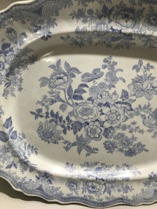 Antique Wedgwood ASIATIC PHEASANT BLUE Transferware 1800s ENGLAND Meat PLATTER 2