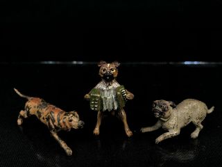 Group Of 3 Austian Vienna Bronze Cold Paint Dogs