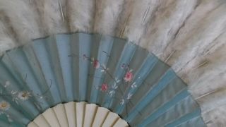 Antique Folding Hand Painted Fan Bakelite Feathers Blue Floral Box VTG 2