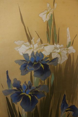 H04p2 Gorgeous Ayame Iris Japanese Hanging Scroll