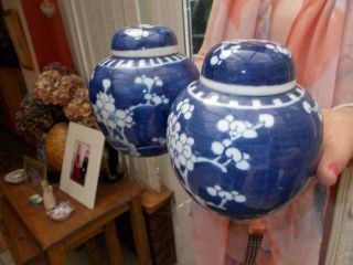 2 Vintage Blue Prunus Lidded Ginger Jars Early 1900s In Lovely